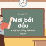 Cách học tiếng Anh cho người mới bắt đầu