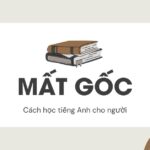 cách học tiếng Anh cho người mất gốc